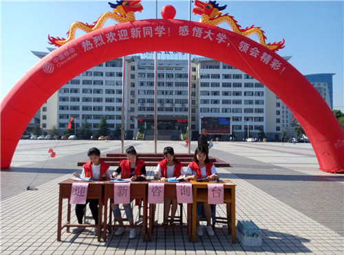 迎新进行时,志愿工作展风采(3).jpg